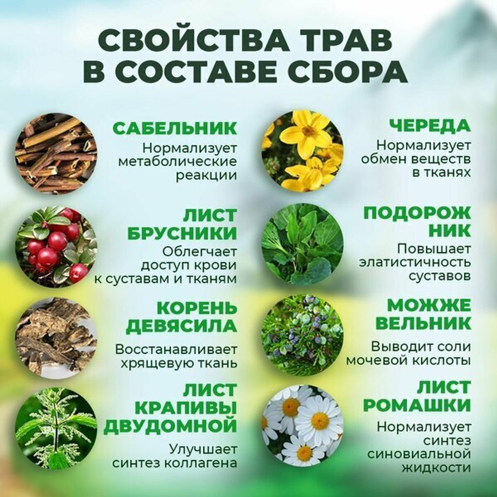 Травяной чай «Сибрирский сильник»