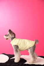 Жилетка для собак Облака