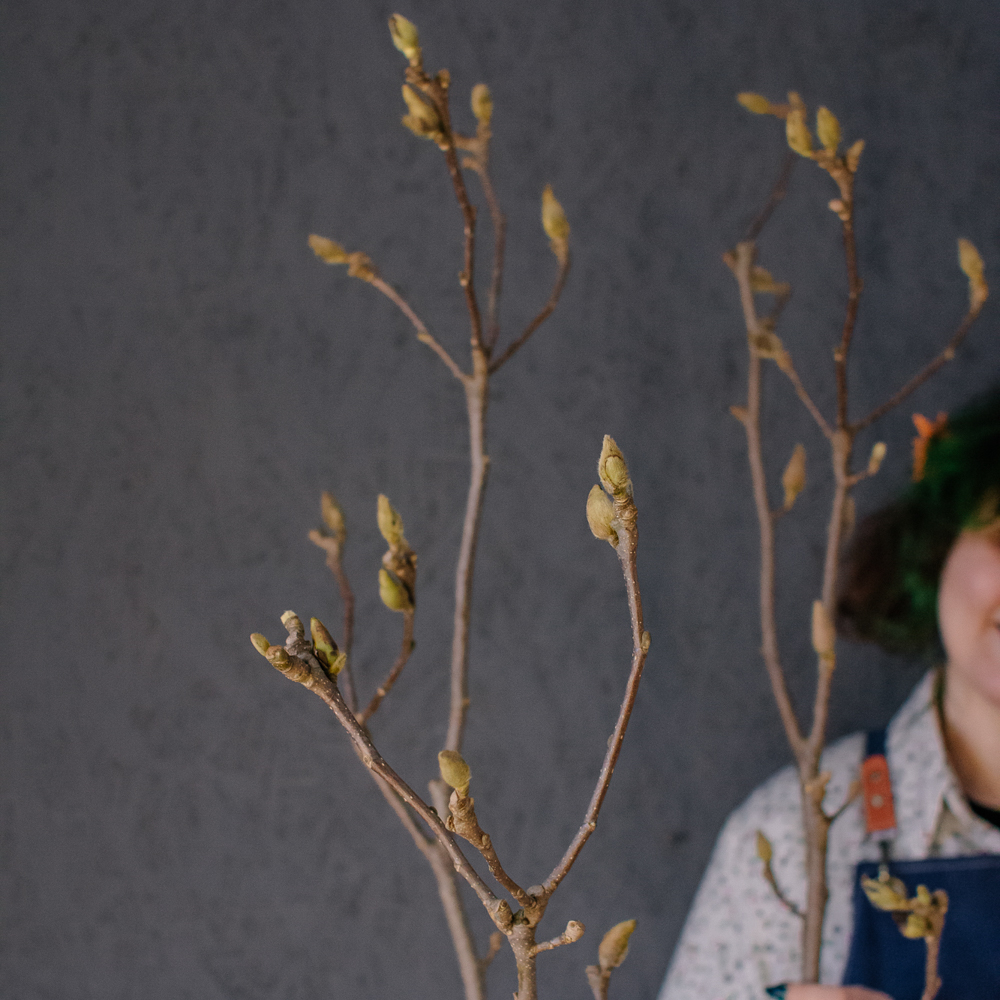 174. Магнолия (ветка / букет)