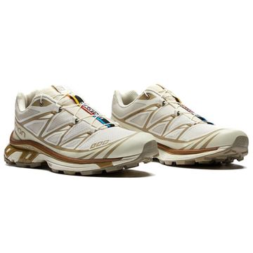 SALOMON XT 6 Бежевые кроссовки Низкие кроссовки