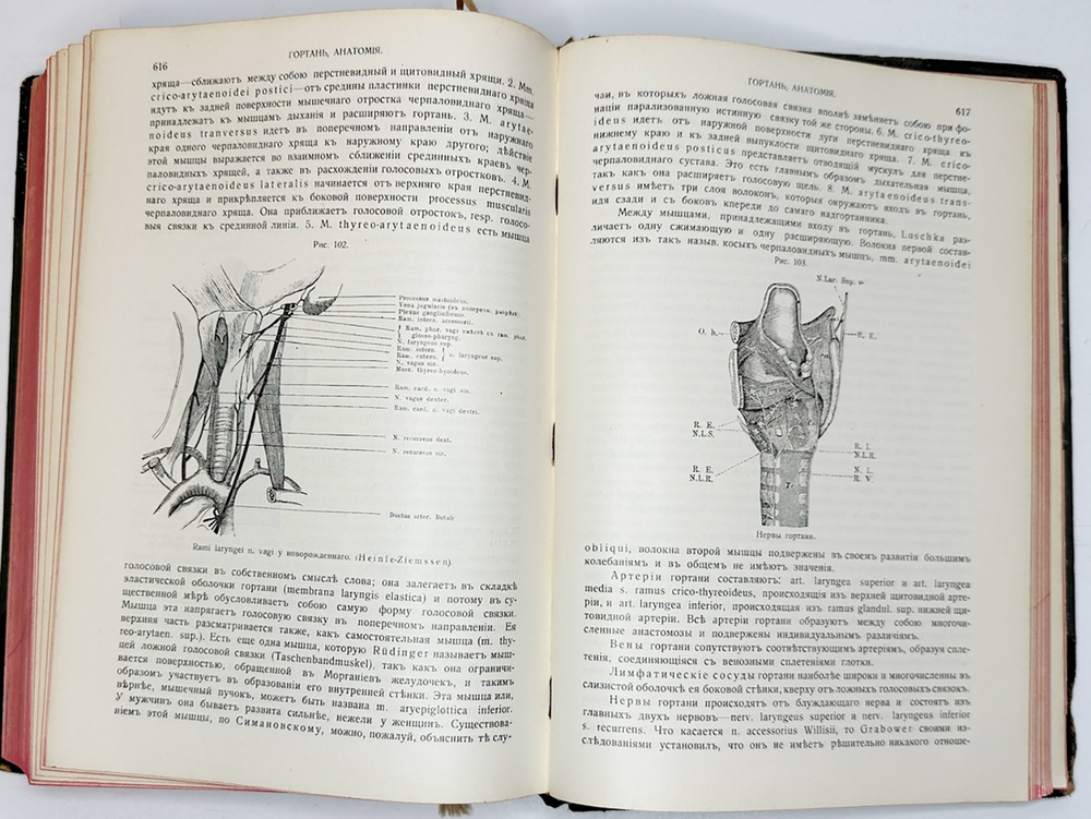 Eulenburg A., проф. Эйленбург А  Реальная энциклопедия практической медицины в XVII томах. 1909-1915