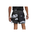 Шорты Jordan, DM1377-010