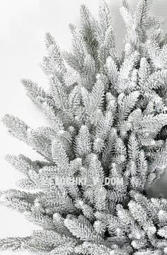 Венок Королевский Заснеженный 60см