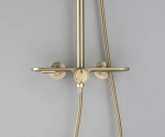 Душевая система Bronze de Luxe Icon 80112CG золото матовое