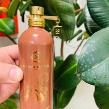 Montale Arabians Musk