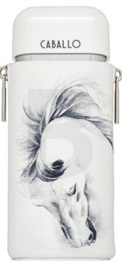 ARMAF CABALLO MEN EDP 100 ML