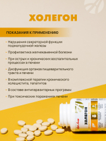 Холегон(новый СГР) Высокоэффективный комплекс, компоненты которого обладают желчегонным, противовоспалительным, антиспастическим действием
