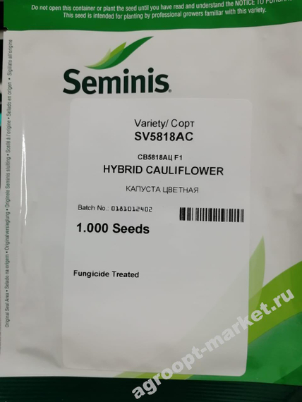 СВ 5818 F1 семена капусты цветной (Seminis / Семинис) – фото 5