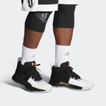 Кроссовки Adidas D Lillard 5Sport Performance Dame 5