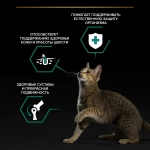Курица в соусе, 85г влажный корм для взрослых кошек ProPlan