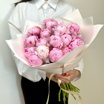 15 ароматных пионов «Сара Бернар» в упаковке. Букет 1119