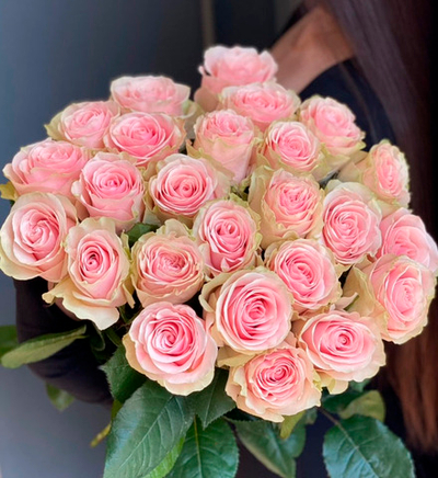 Роза Фрутетто (Эквадор)