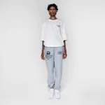 Спортивные штаны Dissident Sportive Goods серые