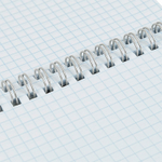 Блокнот  BG "Настроение - кот" на спирали, А5, 60 листов в клетку