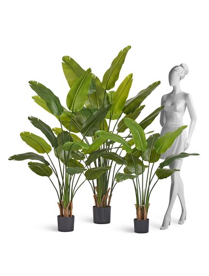Стрелиция New Style (Sensitive Botanic) 110 см
