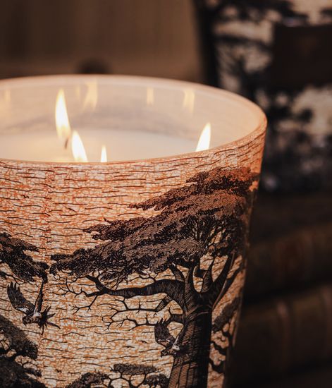 Mankono, свеча MAX 16 Sacred Trees collection, Baobab Collection