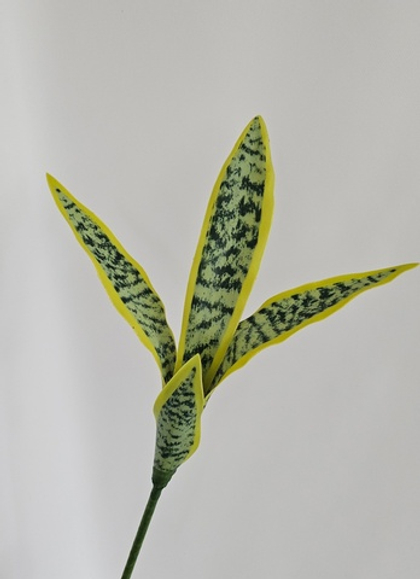 Сансевиерия (щучий хвост) / Арт 6026