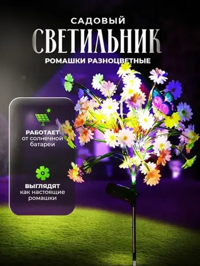 Садовые ромашки на солнечной батарее