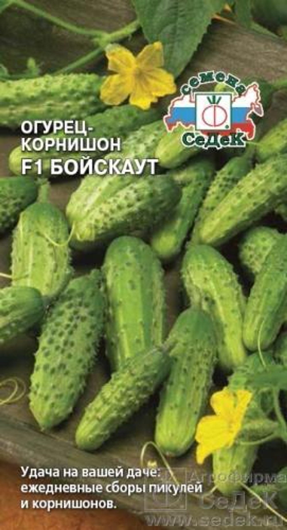 Огурец Бойскаут F1 0,3 г Седек