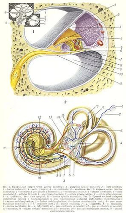 Большая медицинская энциклопедия. В 35-ти томах + дополнительный том (комплект из 36-ти книг)