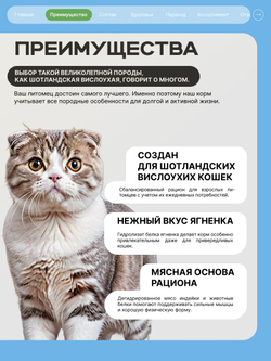 Корм сухой для кошек породы Шотландская вислоухая, с ягненком, 400 гр, QUATTRO