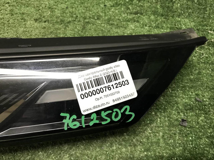 ДХО центральный Geely Atlas 2 (2023-н.в.)