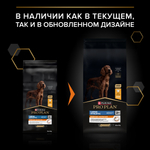 Сухой корм PRO PLAN EVERYDAY NUTRITION для взрослых собак крупных пород с атлетическим телосложением курица 14 кг