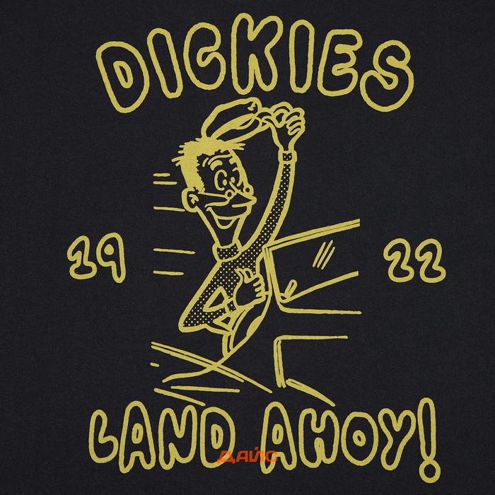 Футболка мужская Dickies Decartuville артикул:DK0A87QTBLK1 - купить в магазине Дайс