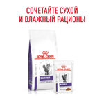 Royal Canin NEUTERED BALANCE Корм влажный для взрослых стерилизованных кошек склонных к набору веса соус 85г