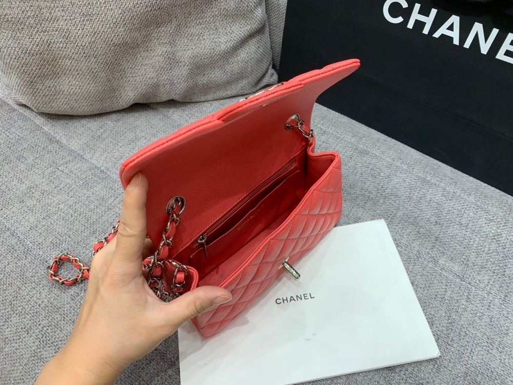 Chanel Bag 20 cm