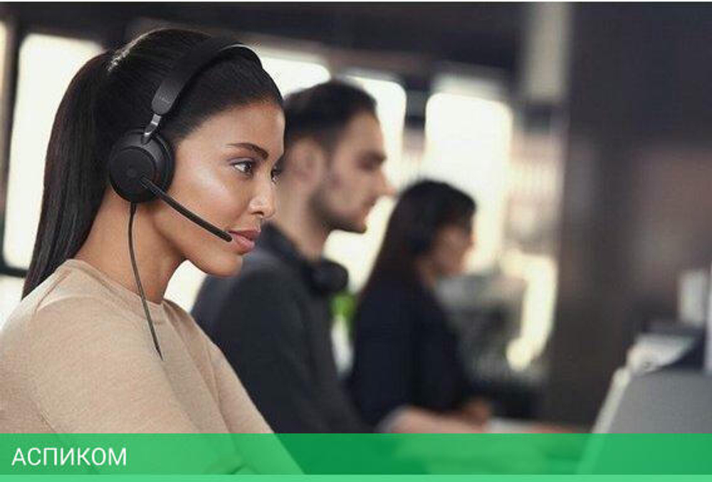 Наушники Jabra Evolve 20 MS черный (4999-823-109)