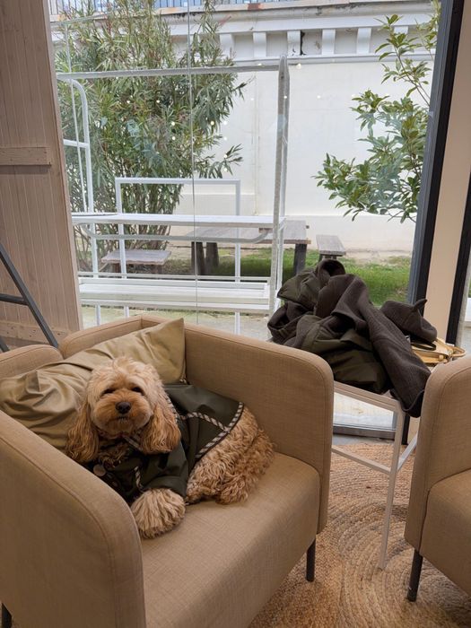 ТРЕНЧ САВЬЕ ДЛЯ СОБАК ХАКИ