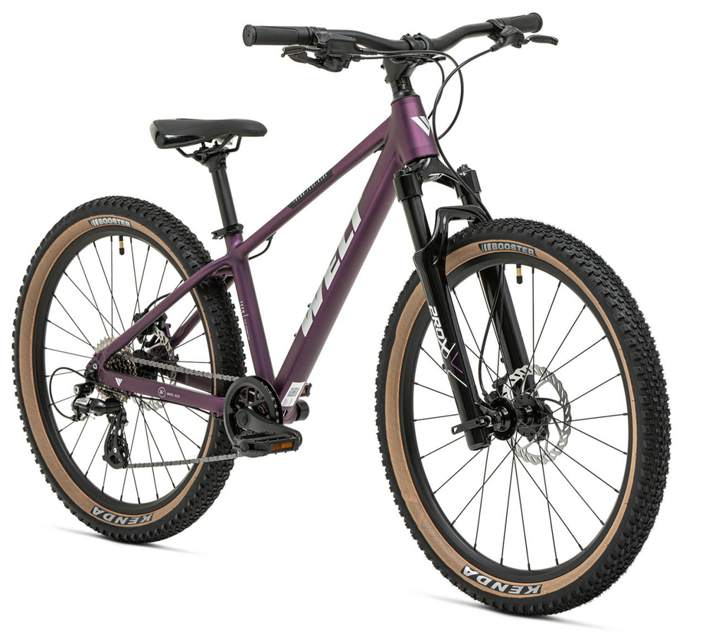 Подростковый велосипед Welt Brave 2.0 24 HD (2025)