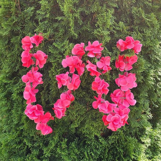 Гирлянда из цветов крупных, темно-розовая