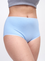 Трусы женские с высокой посадкой SWAN FULL BRIEF/ BLUE