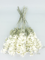 Дельфиниум Эстер уценка (цена за 18 веток)