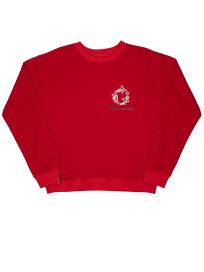 Свитшот СПУТНИК1985 SW69 (красный)