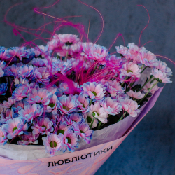 141. Стойкий необычный букет из двуцветной сантини