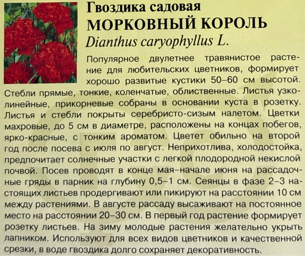 Гвоздика мн. Гренадин Морковный король 0,05 г СМЦ-916
