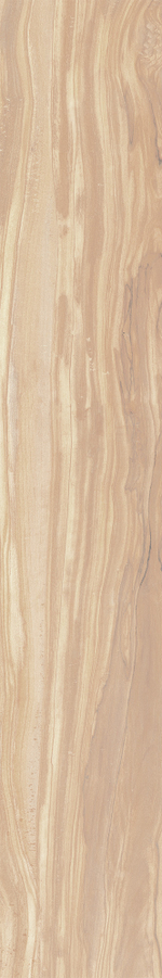 Керамогранит, Creanza, PEARSIAN WOOD IVORY, 1200x200 мм, карвинг