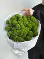 Моно букет из диантусов сорта Грин трик 35 шт