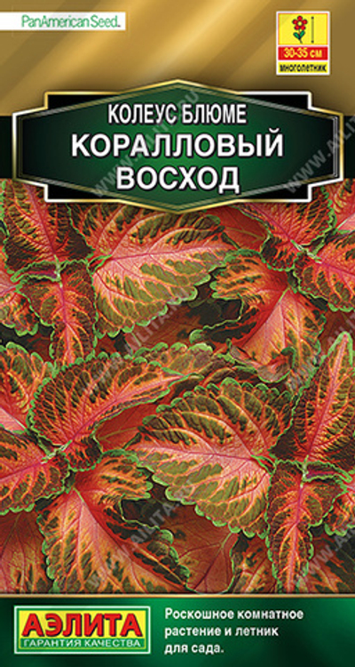 Колеус блюме Коралловый восход 5 шт (Аэлита)