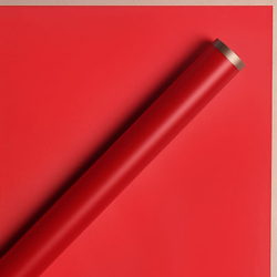 ЛИСТ матовый с каймой 58*58/20шт №1