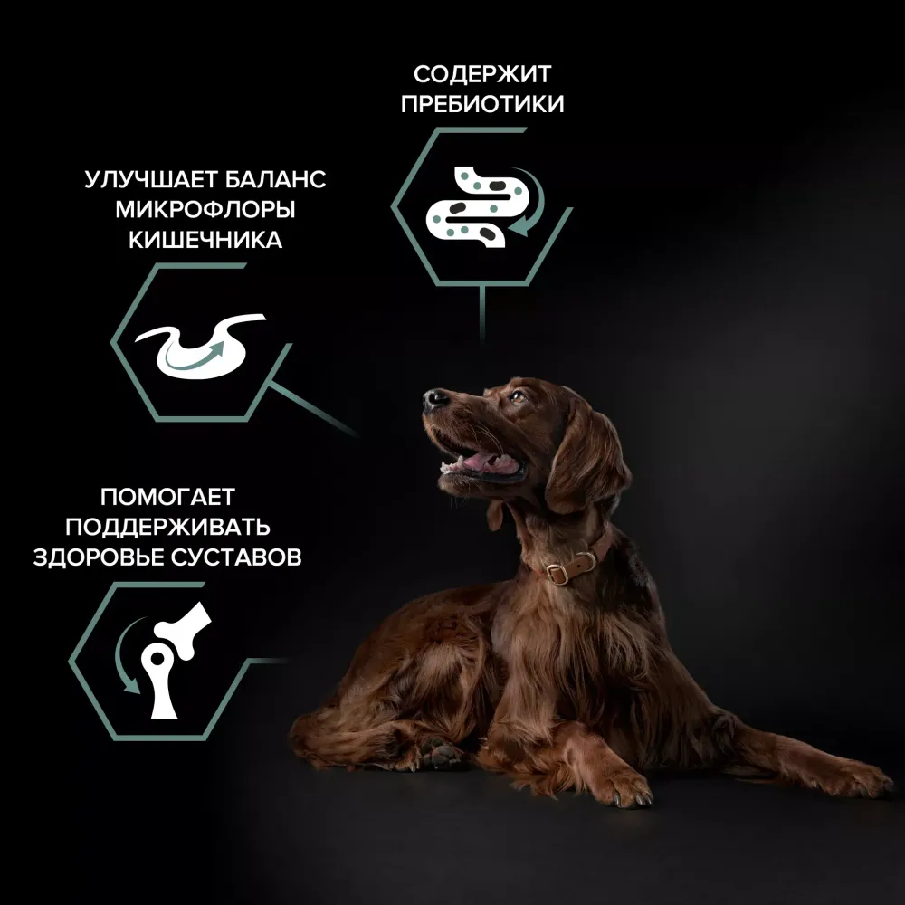 Сухой корм Pro Plan для взрослых собак крупных пород с мощным телосложением с чувствительным пищеварением, с высоким содержанием ягненка