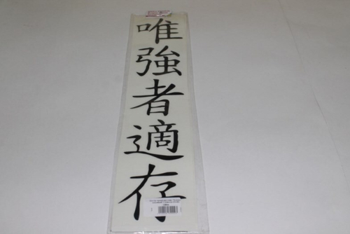 Наклейка плоттер иероглиф  Выживает сильнейший  вырез. 5 символов (95*480) черный (уп. 5 шт) (A-STICKER)