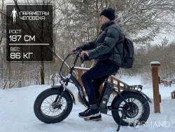 Электрофэтбайк Elbike Taiga 1 Vip 13 (Черный)