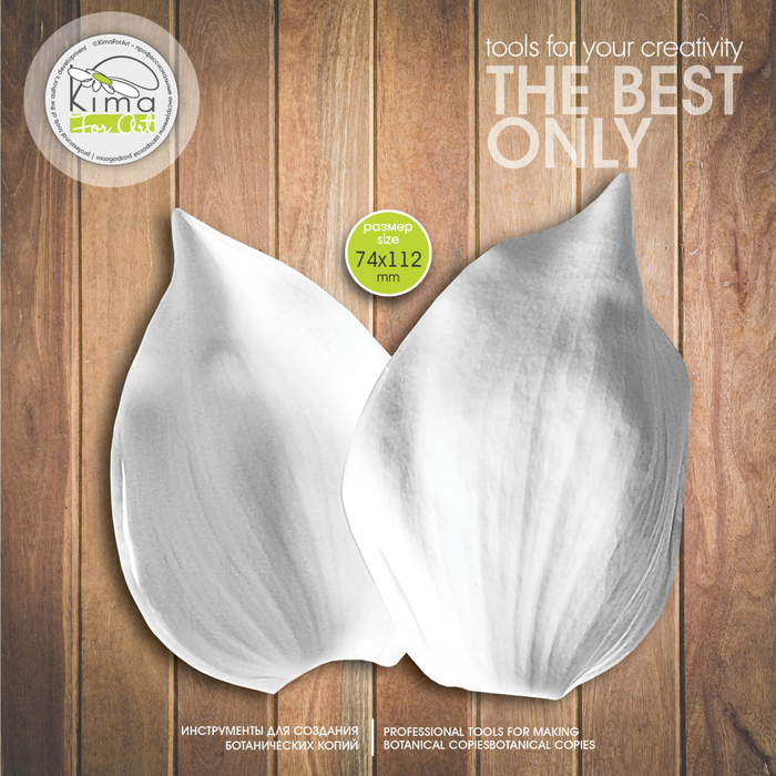 Тюльпан лист средний широкий