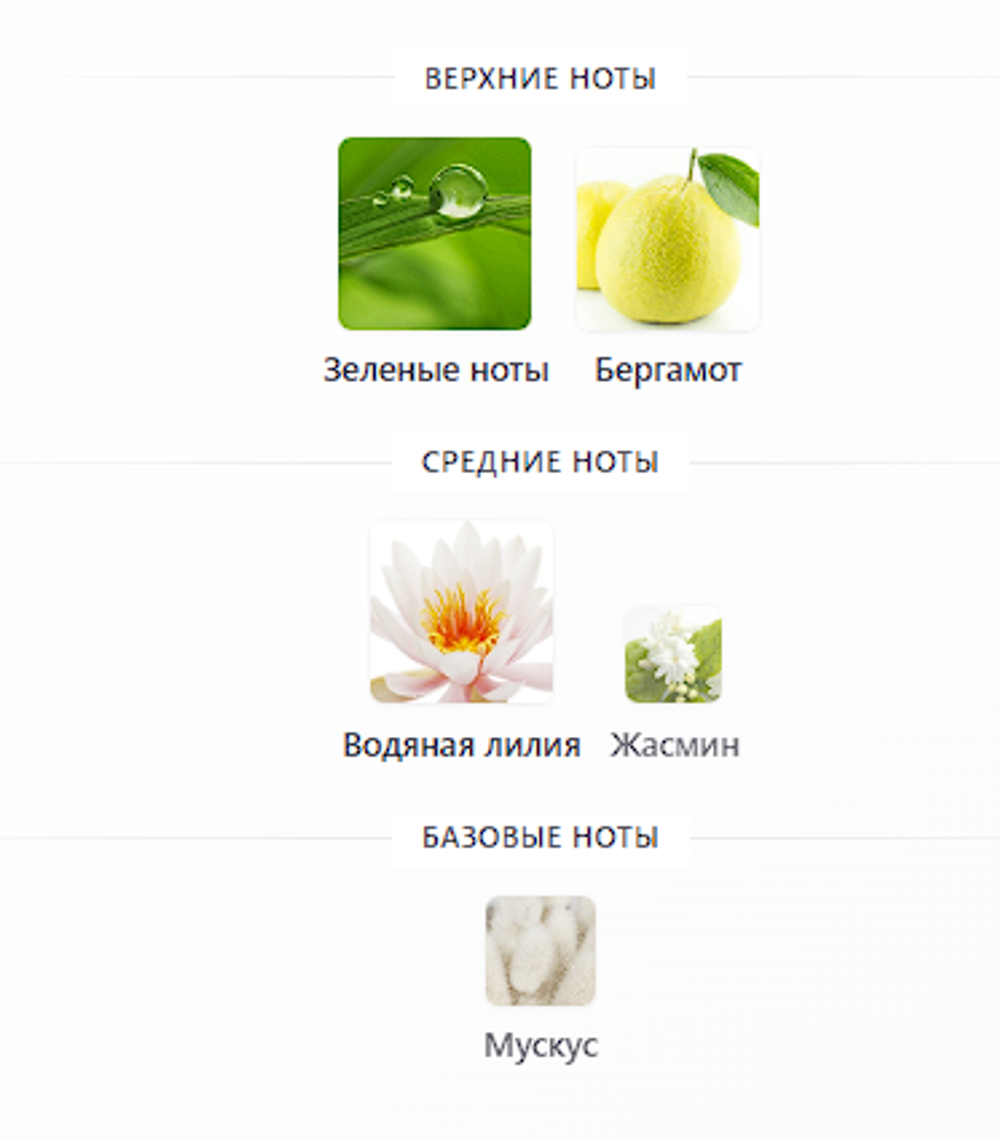 Waterlily Sun Aerin  100ml (duty free парфюмерия)