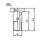 Фитинг BANJO BOLT 3/8
