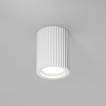 Потолочный светильник Technical C121CL-GU10-W